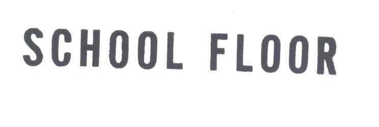 SCHOOL FLOOR