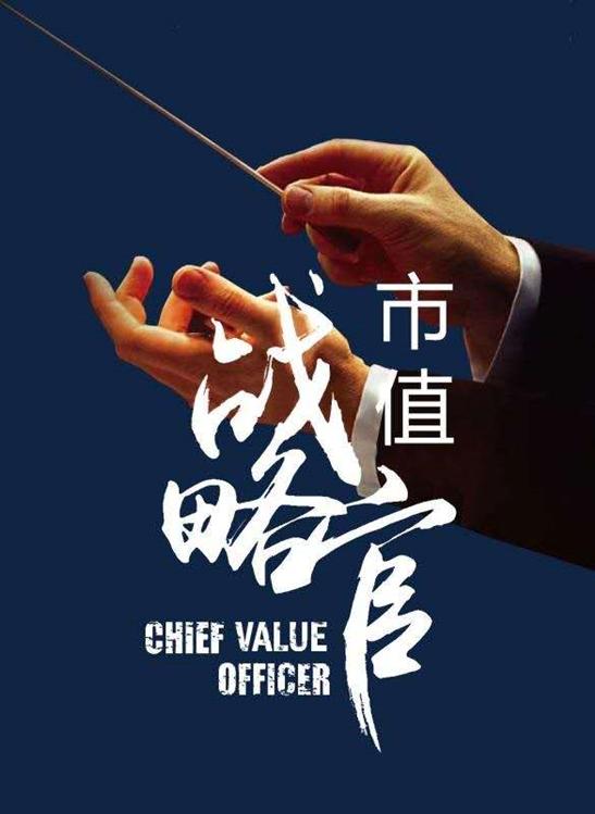 市值 战略官 CHIEF VALUE OFFICER