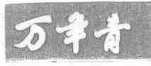 万年青