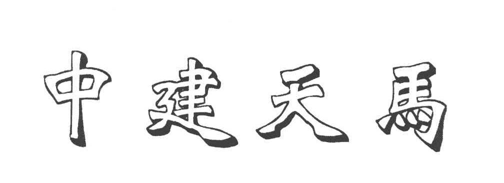 中建天马