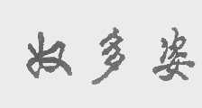 奴多姿