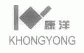 康洋;KHONGYONG
