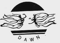 DAWN