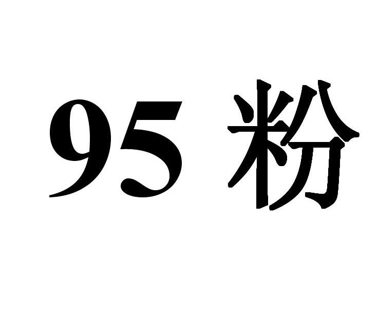 95 粉