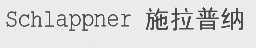施拉普纳   SCHLAPPNER