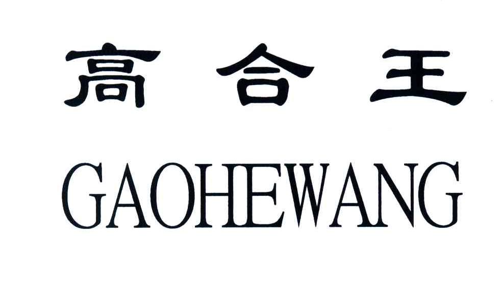 高合王