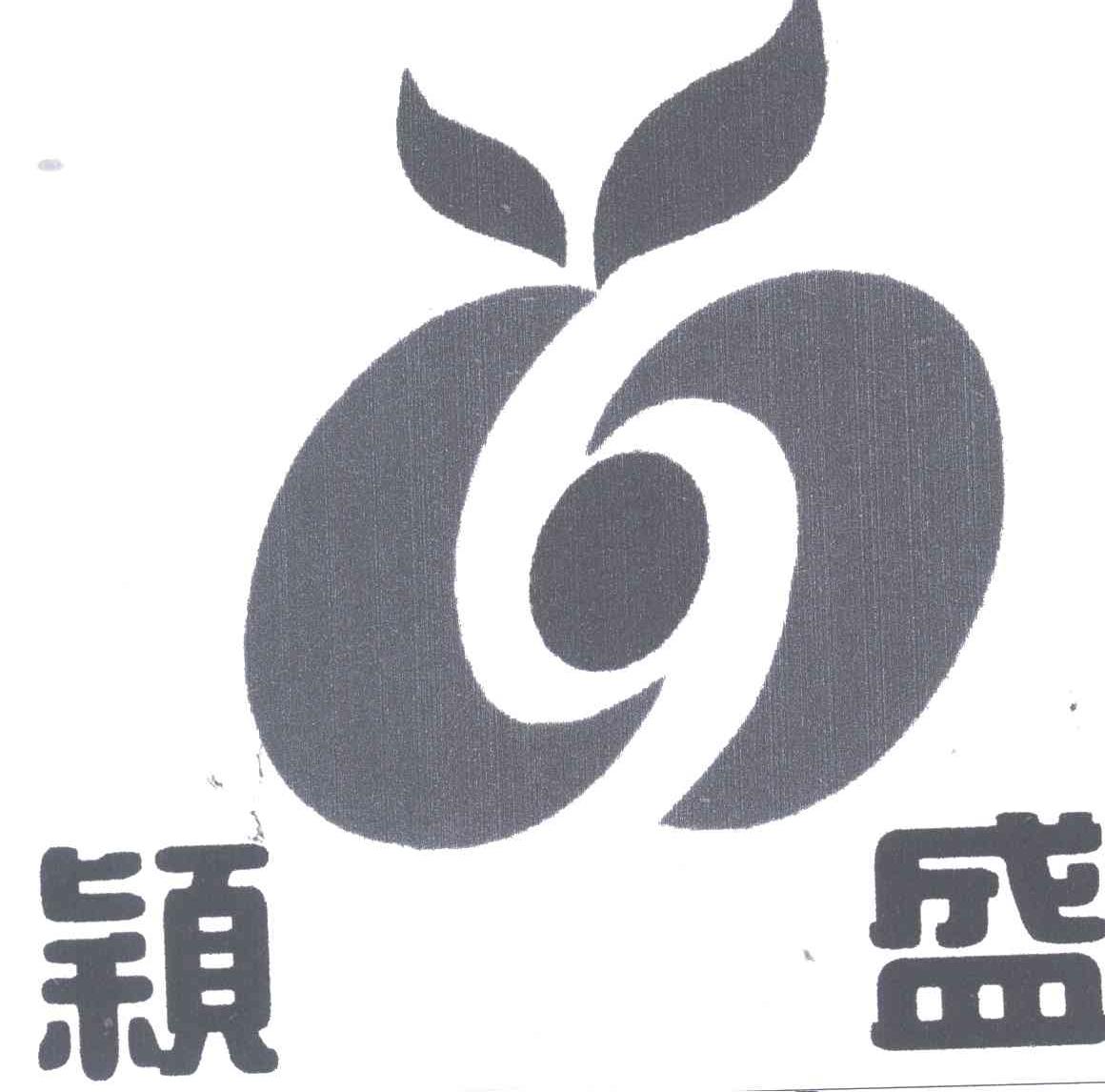 颖盛