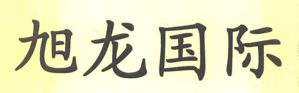 旭龙国际