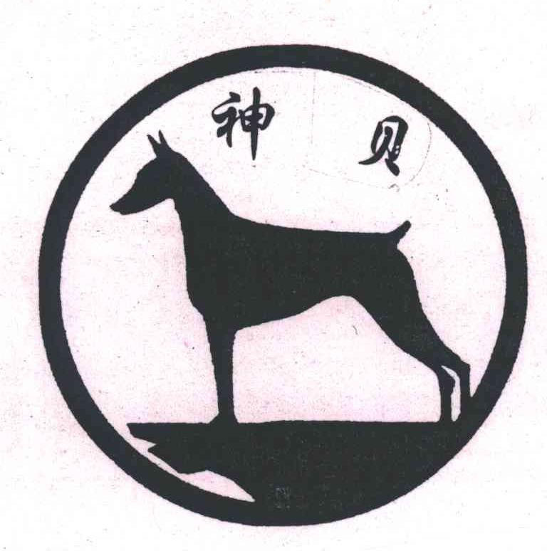 神贝