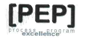 PEP;PROCESSES PROGRAM;EXCELLENCE