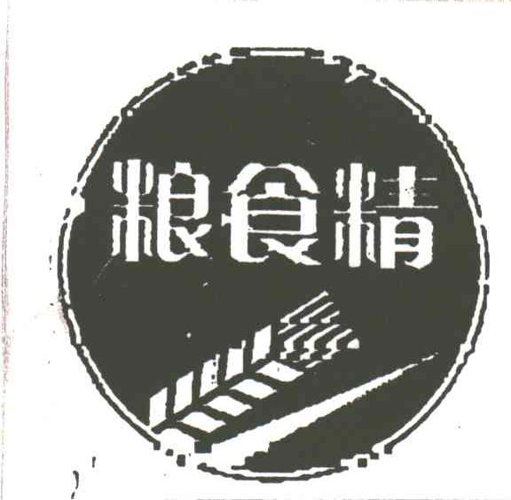粮食精