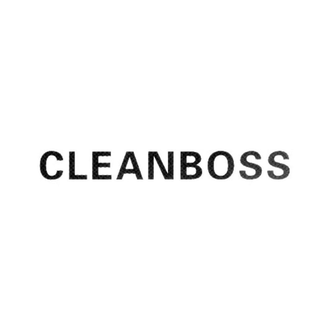 CLEANBOSS