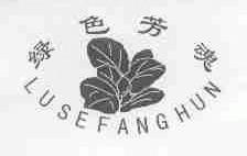 绿色芳魂