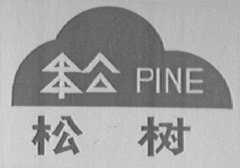 松树    PINE