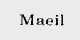 MAEIL