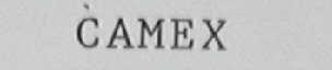 CAMEX