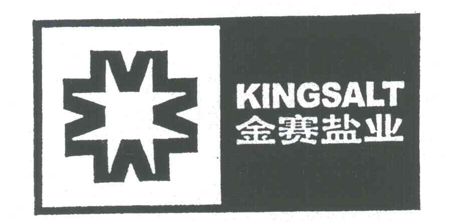 金赛;KINGSALT
