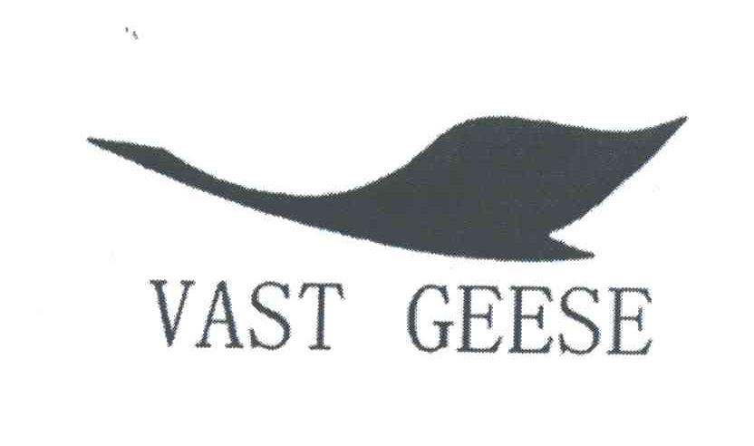 VAST GEESE