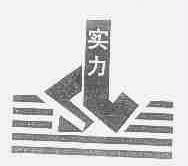 实力