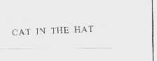 CAT IN THE HAT
