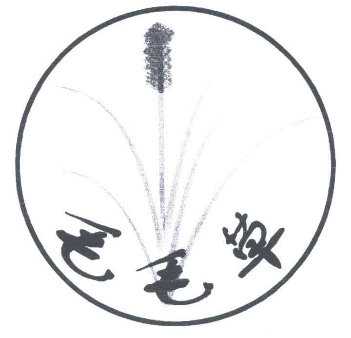毛毛草