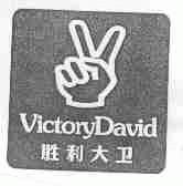 VICTORYDAVID;胜利大卫