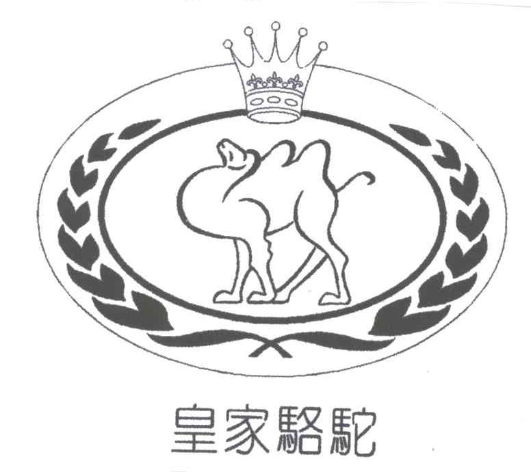 皇家骆驼