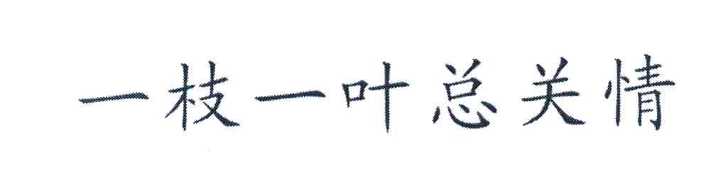 一枝一叶总关情