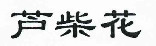 芦柴花