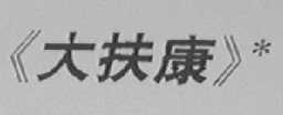 大扶康