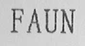 FAUN