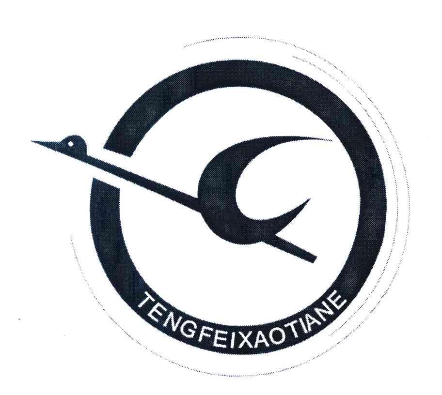 TENGFEIXAOTIANE
