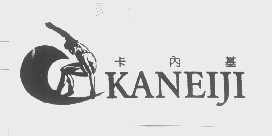 卡内基