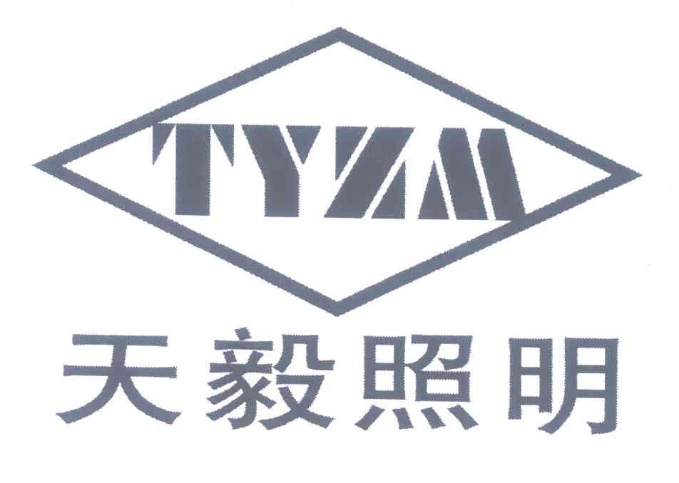 天毅照明 TYZM