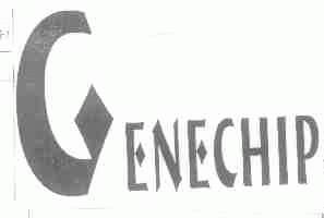 ENECHIP