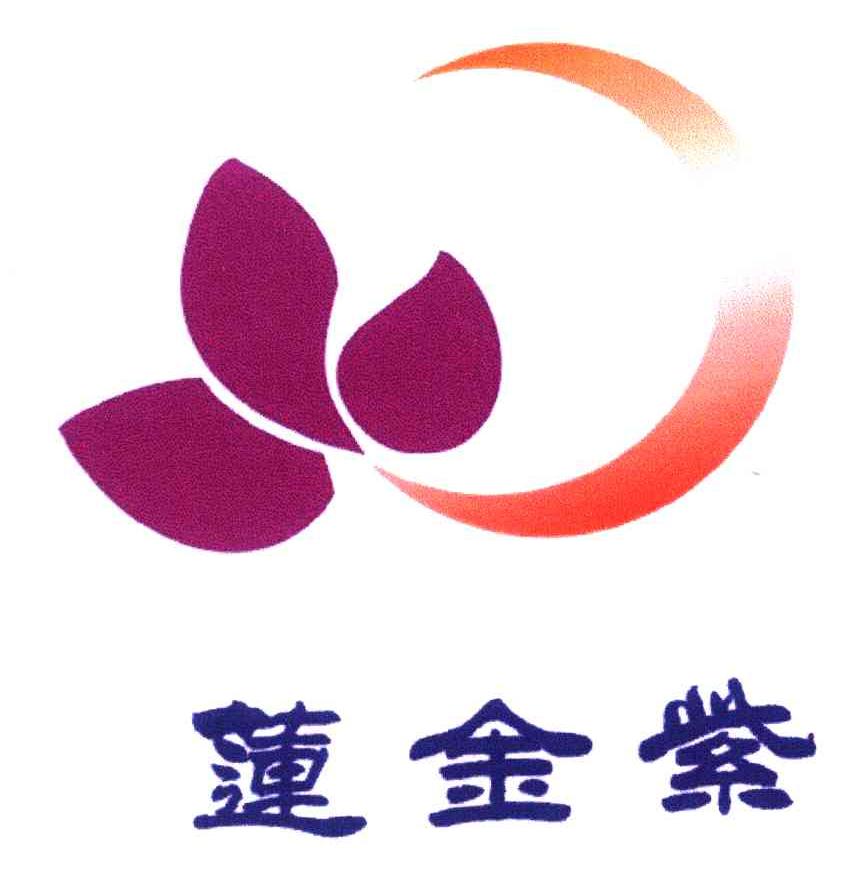 紫金莲
