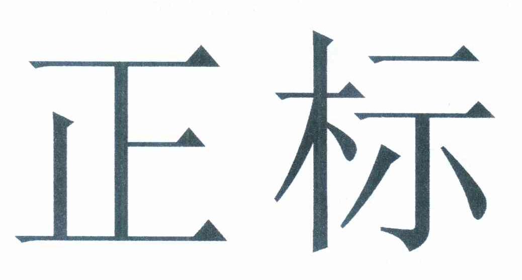 正标