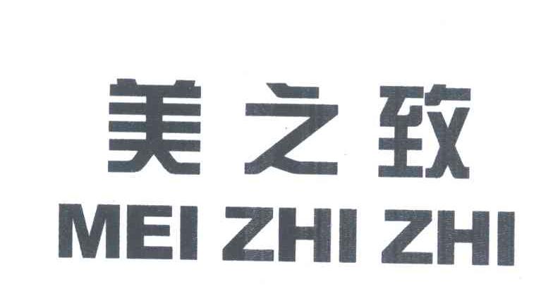 美之致