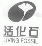 活化石;LIVING FOSSIL