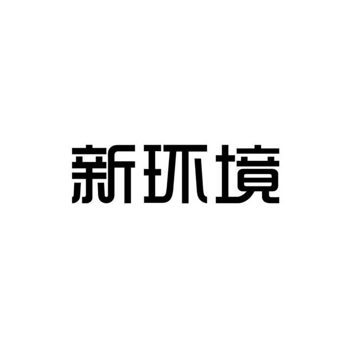 新环境