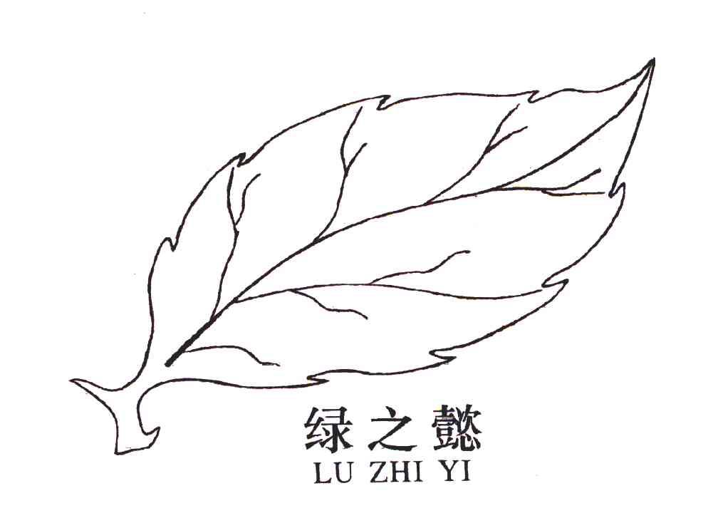 绿之懿