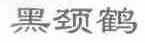 黑颈鹤