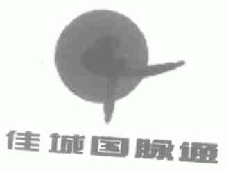 佳城国脉通