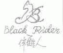 伴酷人;BLACK RIDER