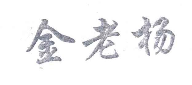 金老杨