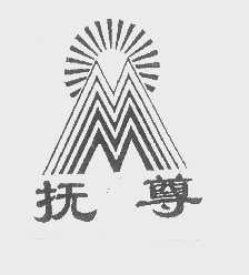 抚尊