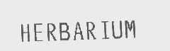 HERBARIUM