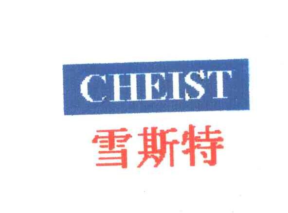 雪斯特