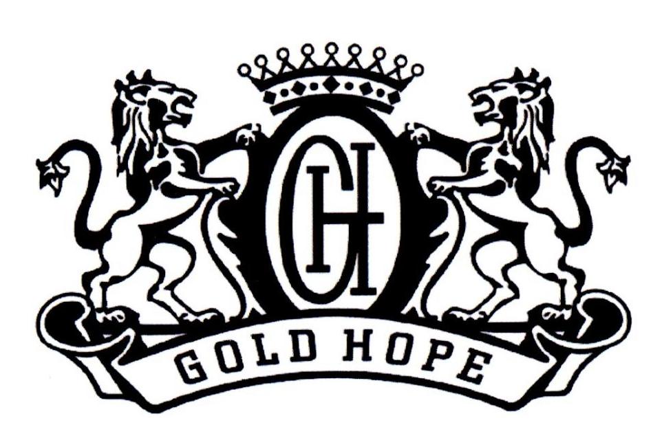 GOLD HOPE