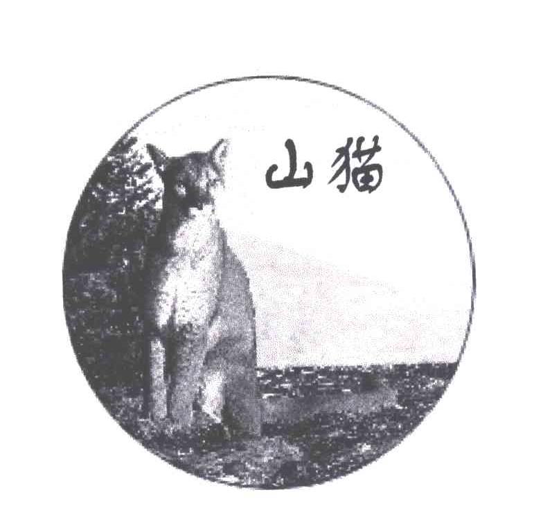 山猫及图形